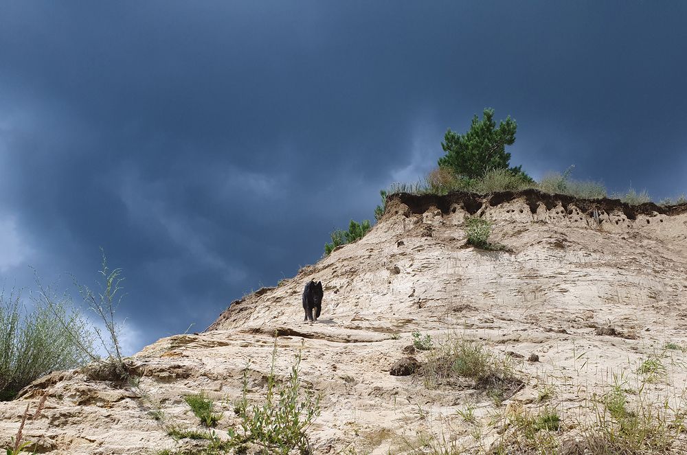 Фотография автора Надежда Лисицына