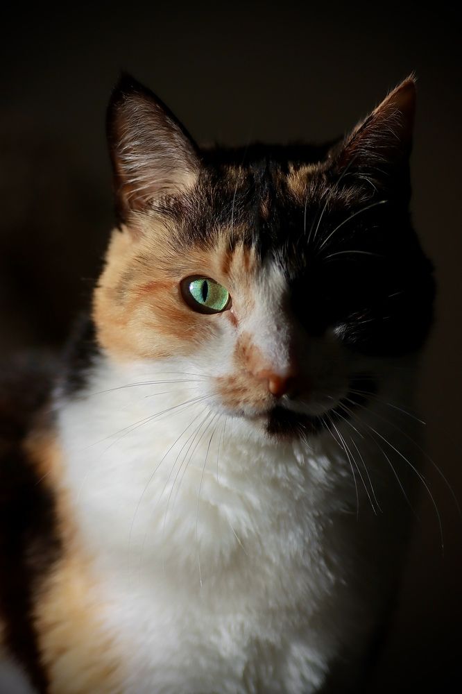 Photograph by Марина Моисеева