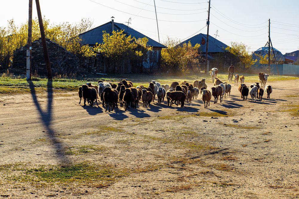 Photograph by Дмитрий Бровко