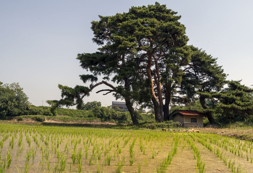 Photograph by Сергей Галёса