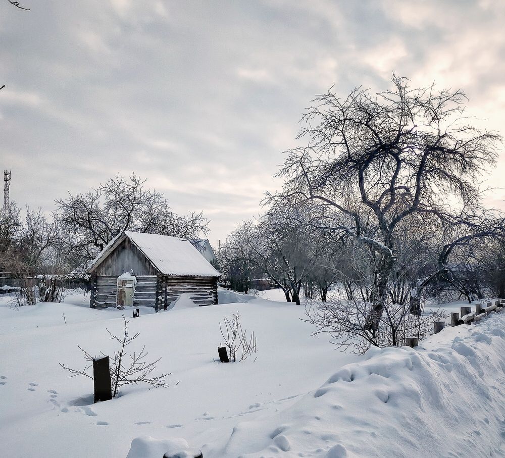 Photograph by Ольга Мартьянова