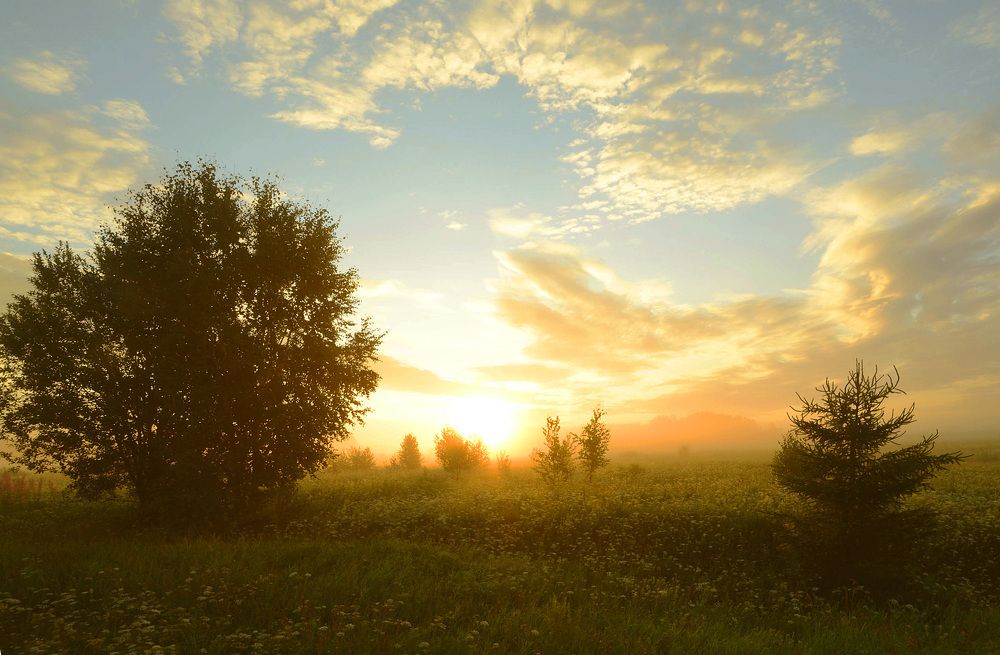 Золотой рассвет