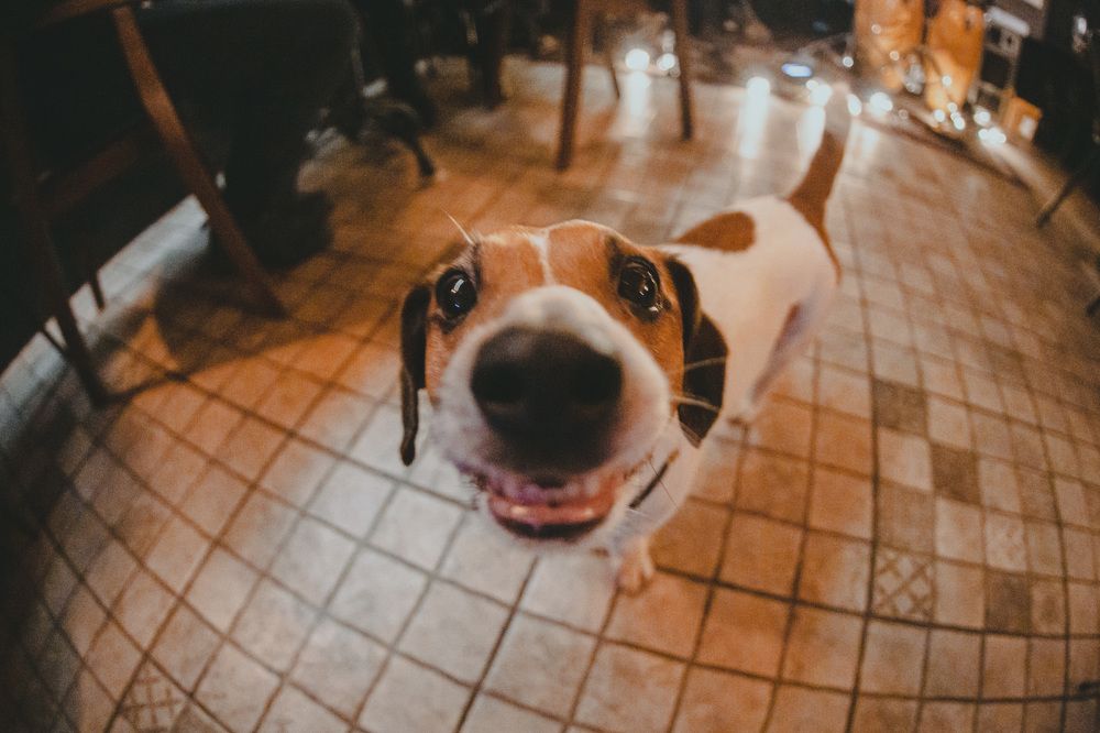 Фотография автора Сергей Дорошенко