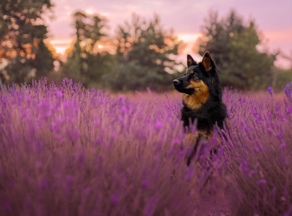 Photograph by Monika Maciejewska