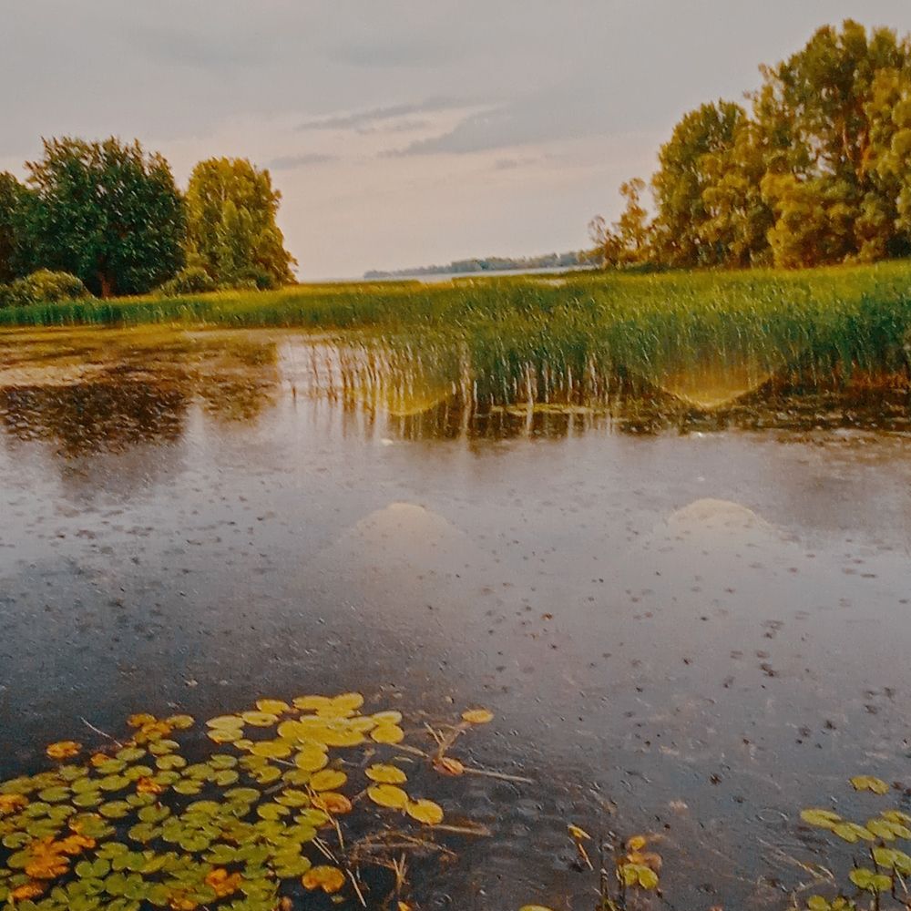 Photograph by Шарипова Светлана Римовна