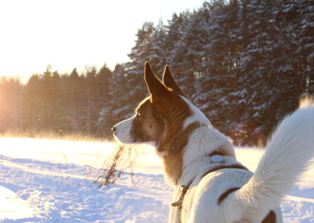 Photograph by Анна