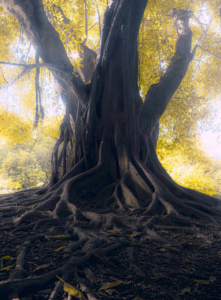 Photograph by Samir Meftah