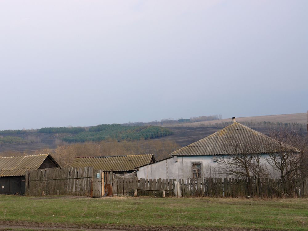 Photograph by Игорь Шевердин