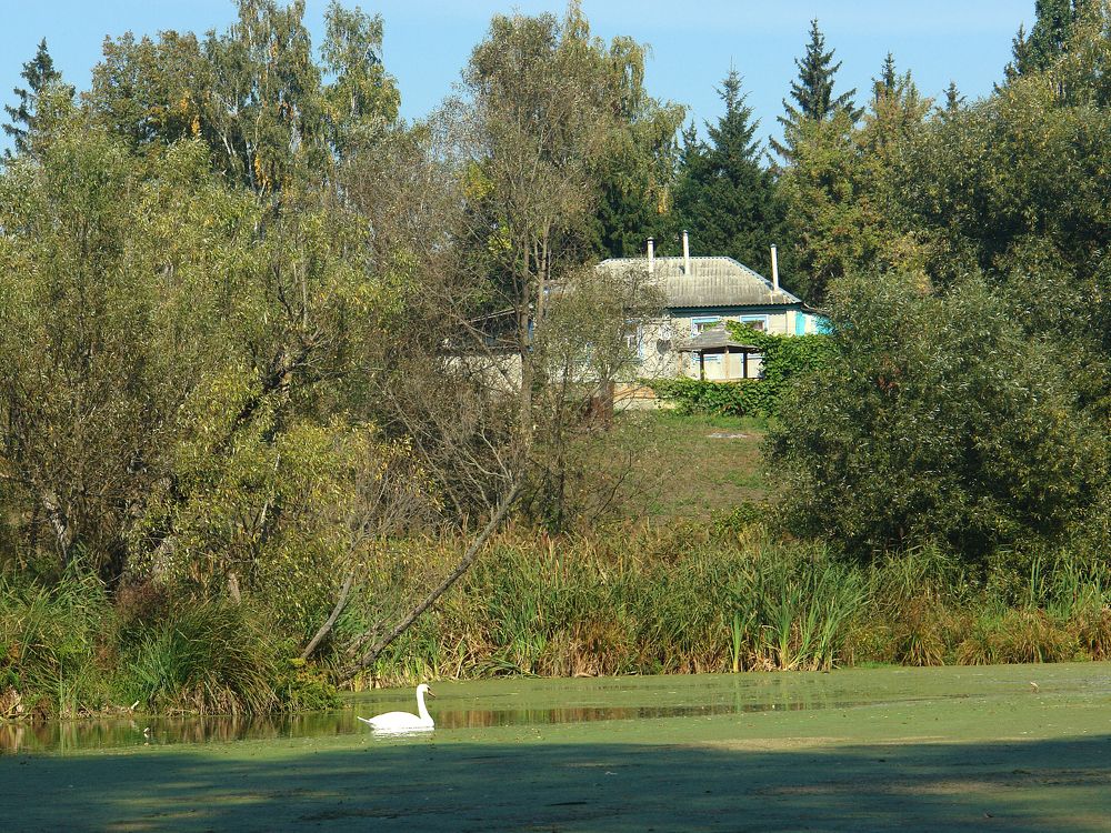 Photograph by Игорь Шевердин