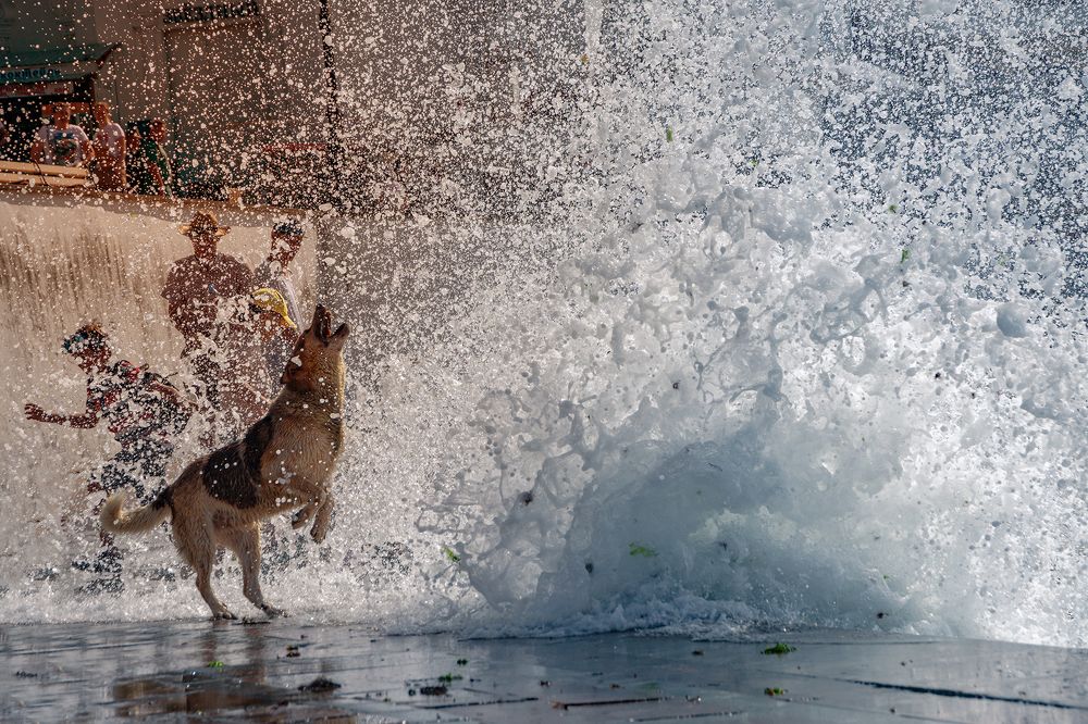 Играющая с морем