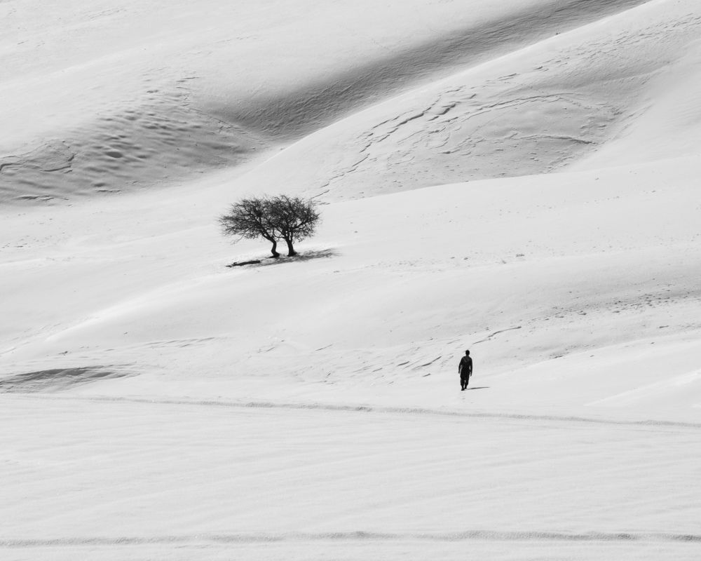 Фотография автора mohammad Alipour