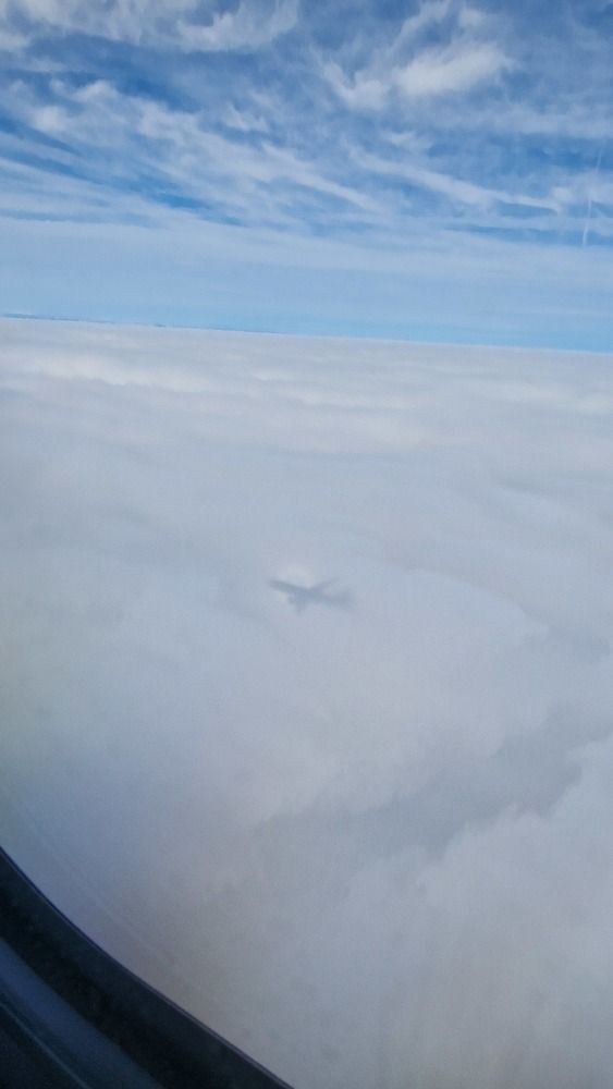 Photograph by Noemí Hornero Alonso