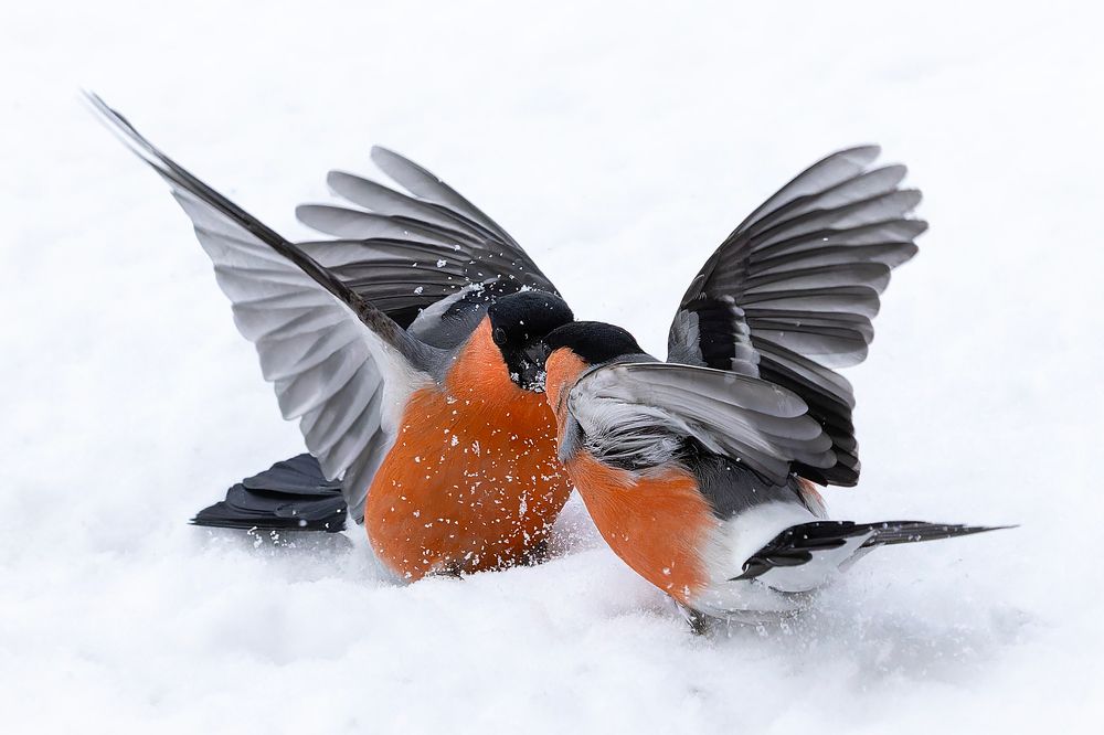 Photograph by Александр Ильин