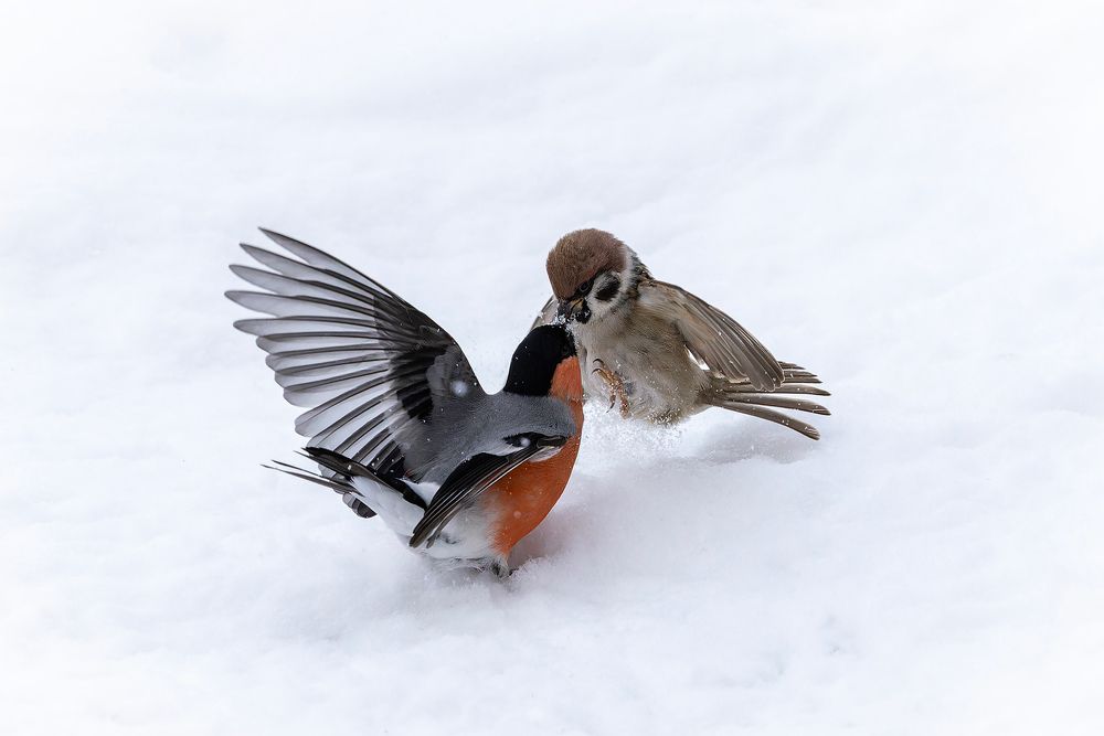 Photograph by Александр Ильин