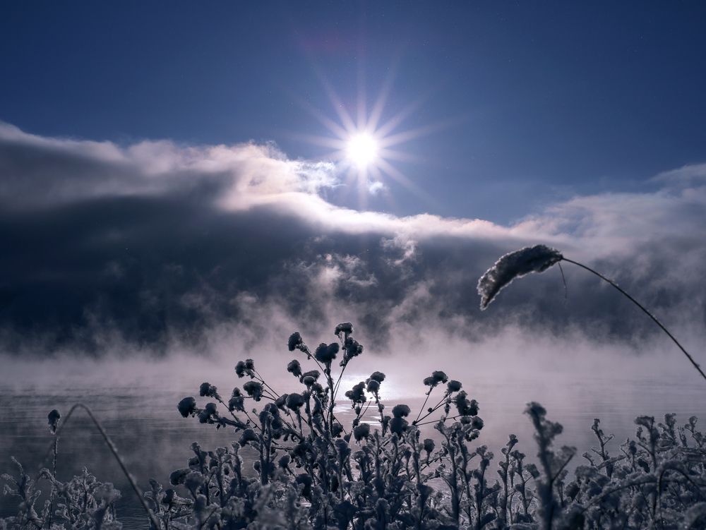 Photograph by Елена Шишкина