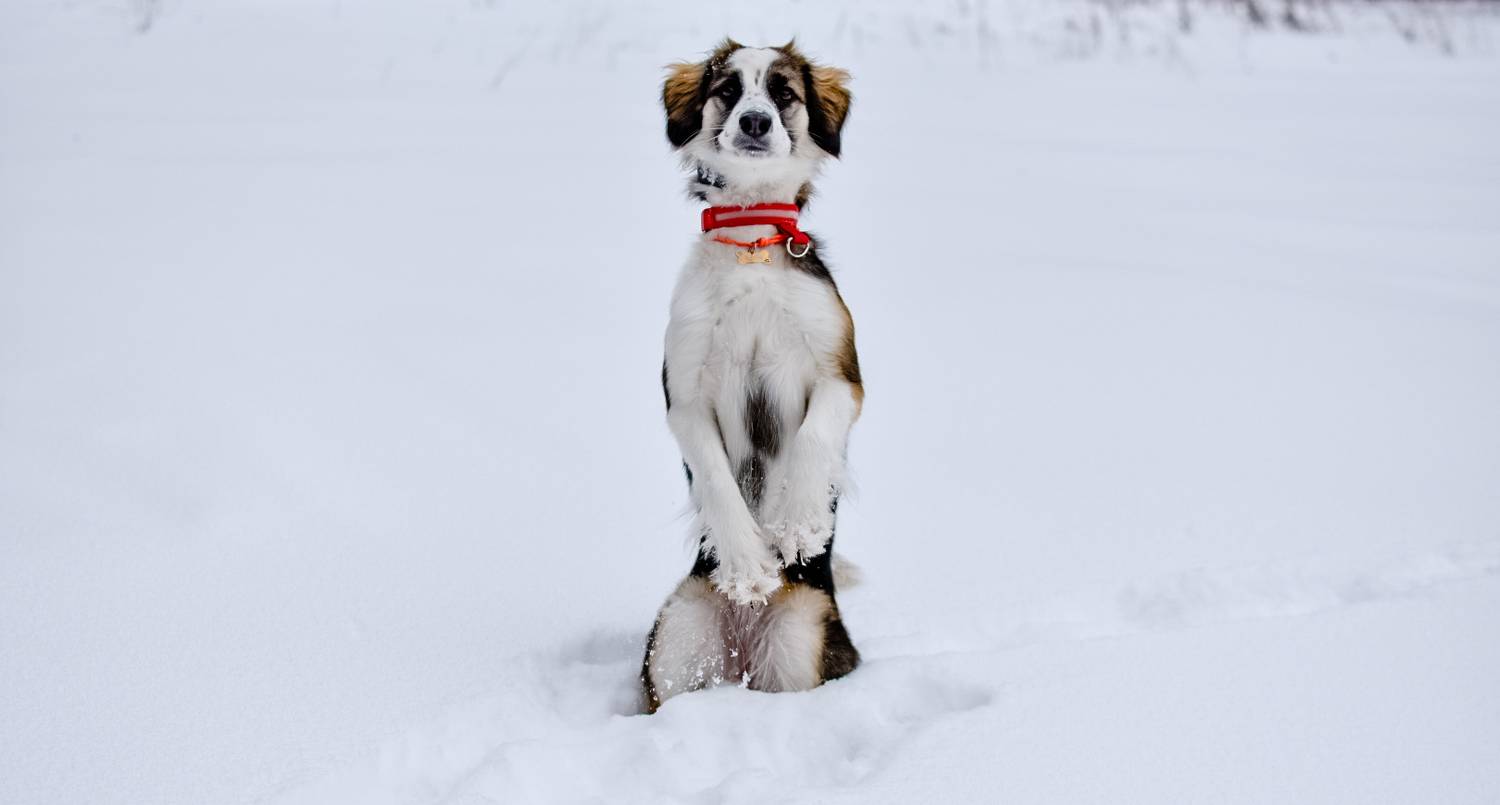 Photo #10188086