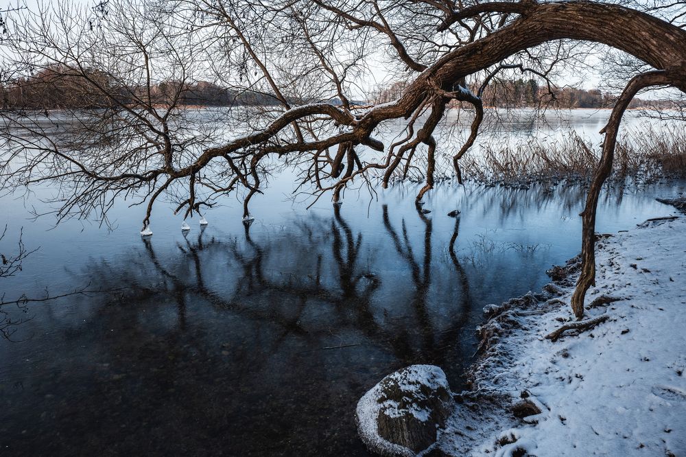 Photograph by Vitalij Bobrovic