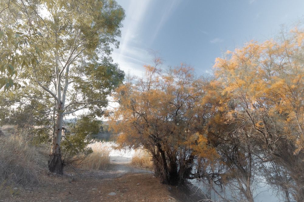 Photograph by Antonis Papaconstantinou