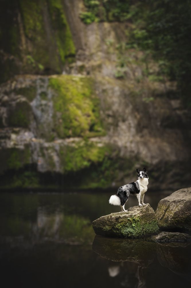 Фотография автора Rut Casanellas