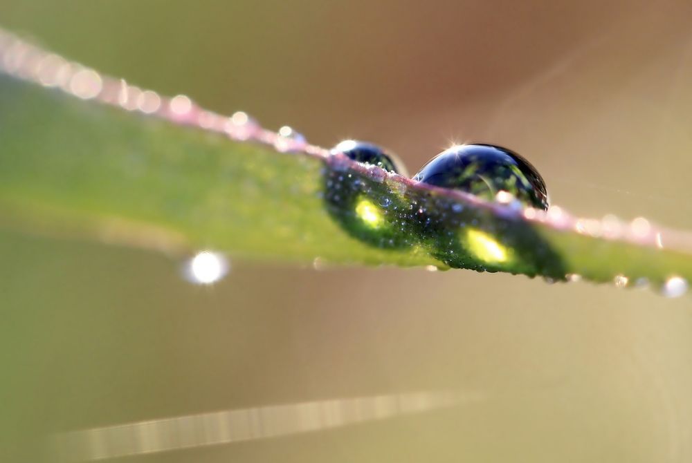 Photograph by Любовь Саханова