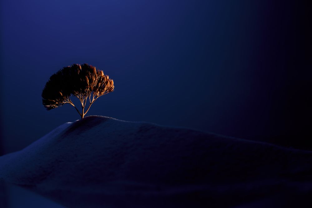 Photograph by Виктор Жулин