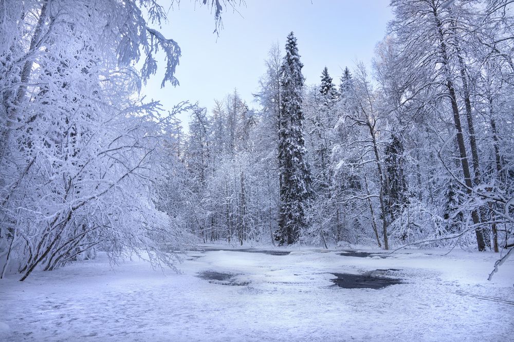 Зимний день