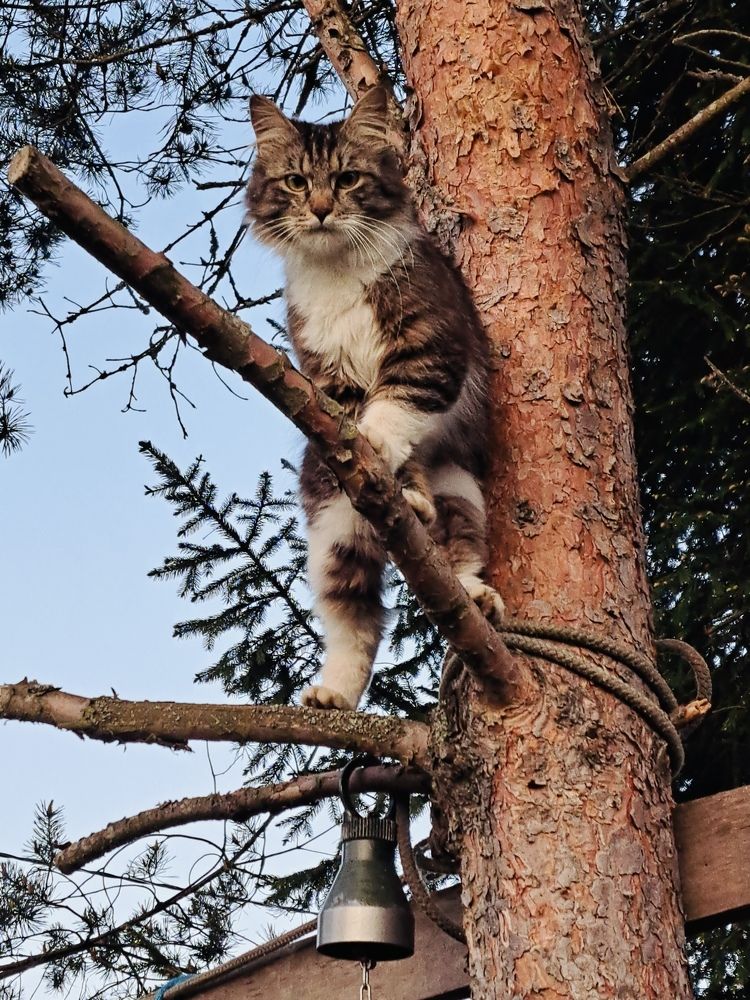 Photograph by Елена Маркова