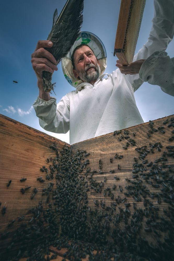 Пчеловод