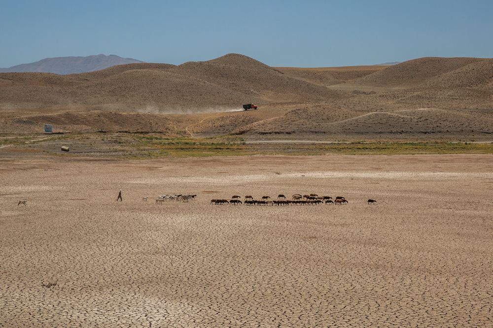 Photograph by seyed mostafa yousefi