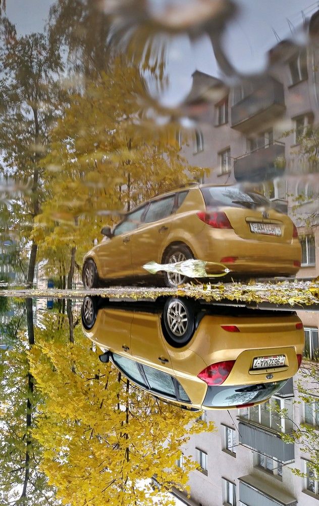 Photograph by Нина Старкова