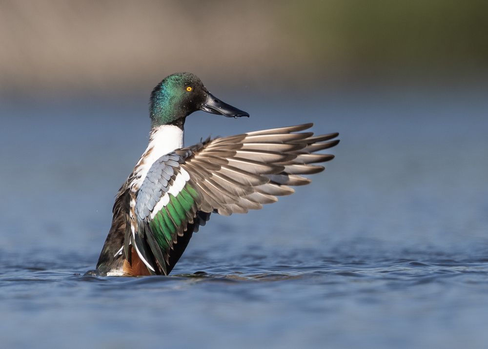 Photograph by Vasos Vasiliou