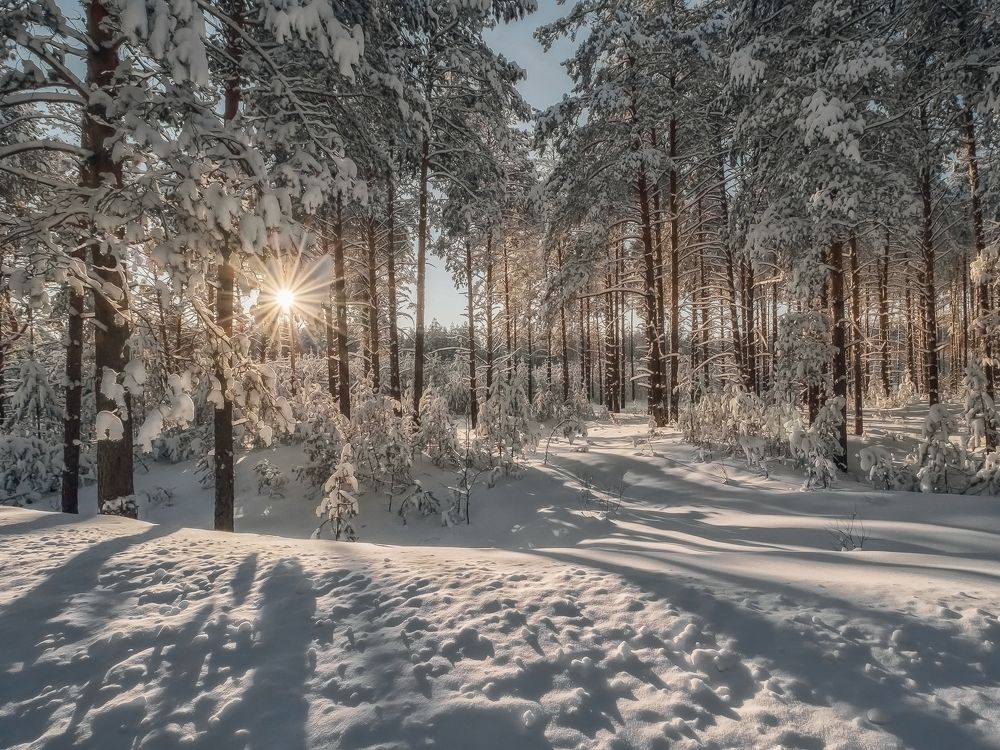 Photograph by Елена Ворошина