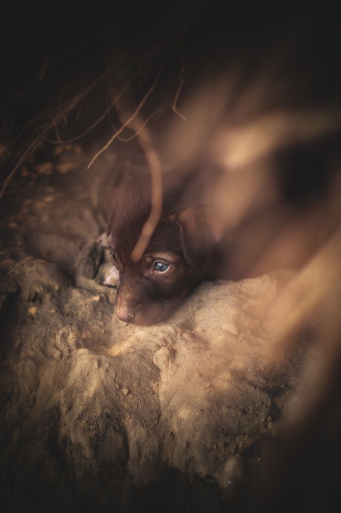 Photograph by Ankit Pathak