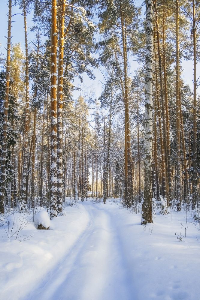 Photograph by Елена Ворошина