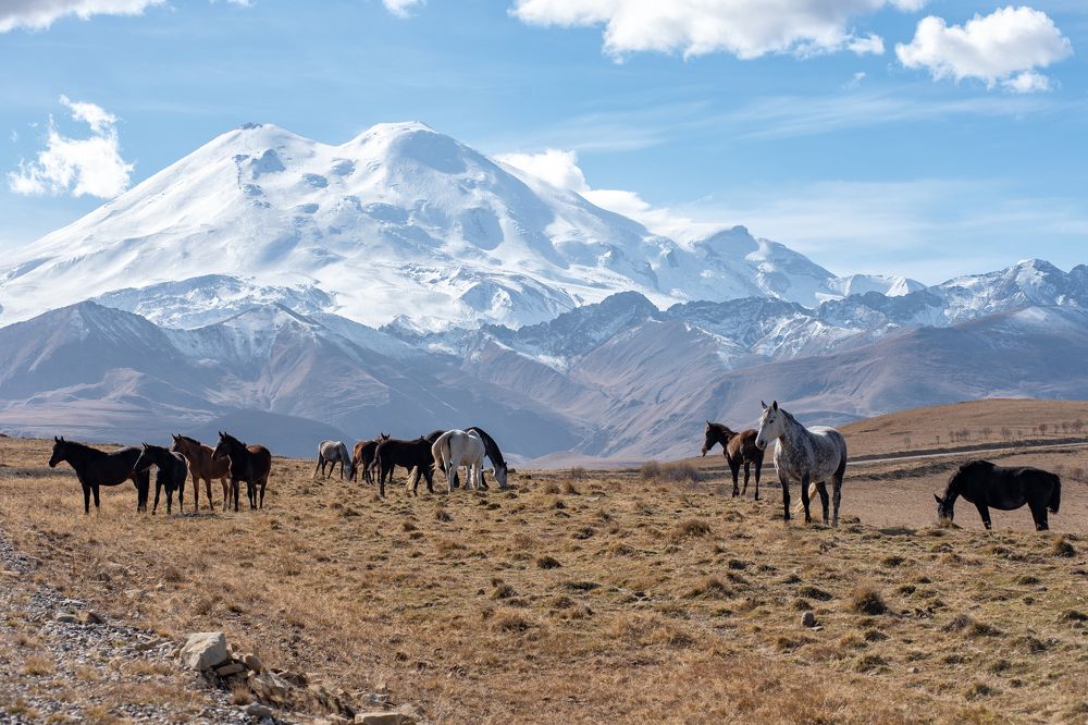 Photograph by Андрей Филатов