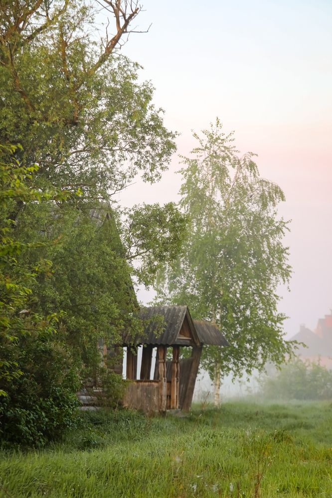 Photograph by Светлана Солдатченкова