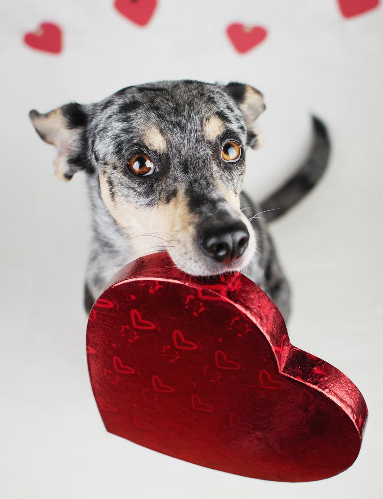 Photograph by leticia pascual garcia