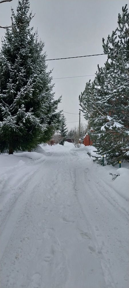 Photograph by Анастасия Липаткина