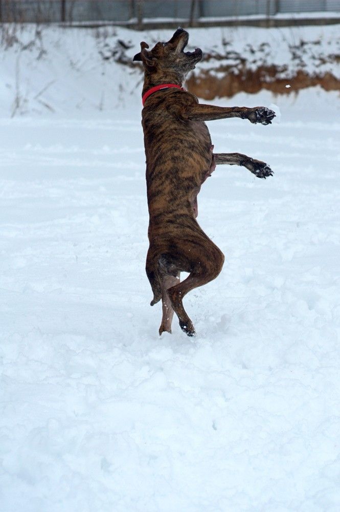Фотография автора Виталий Дузь