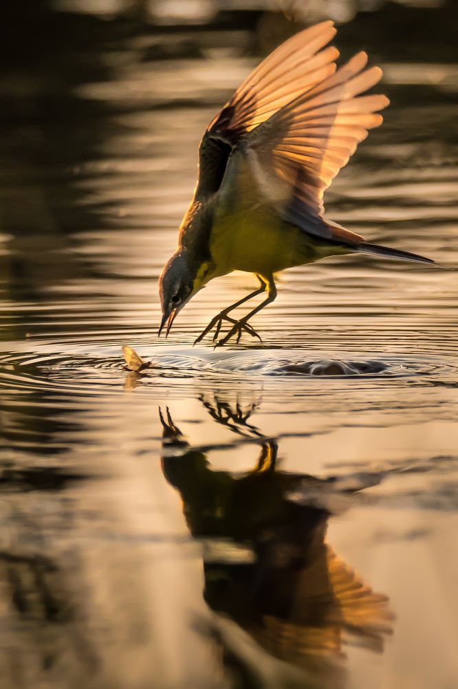 Photograph by Соварцева Ксения