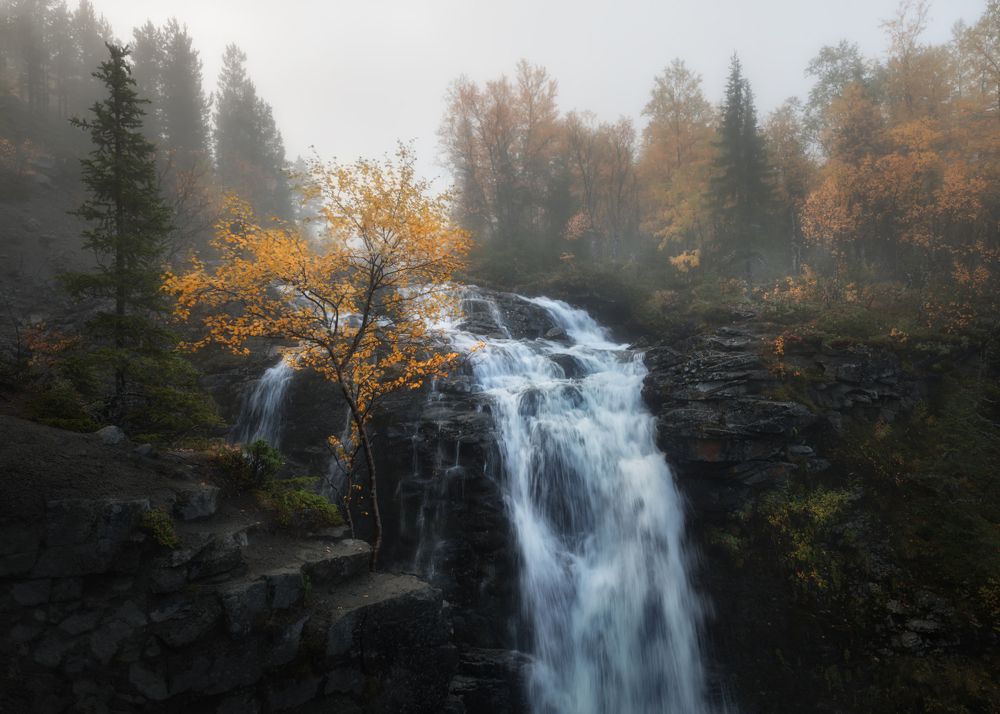 Фотография автора Рудченко Ольга