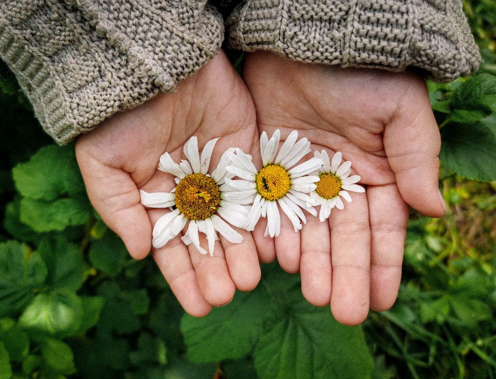 Photograph by Светлана Перминова