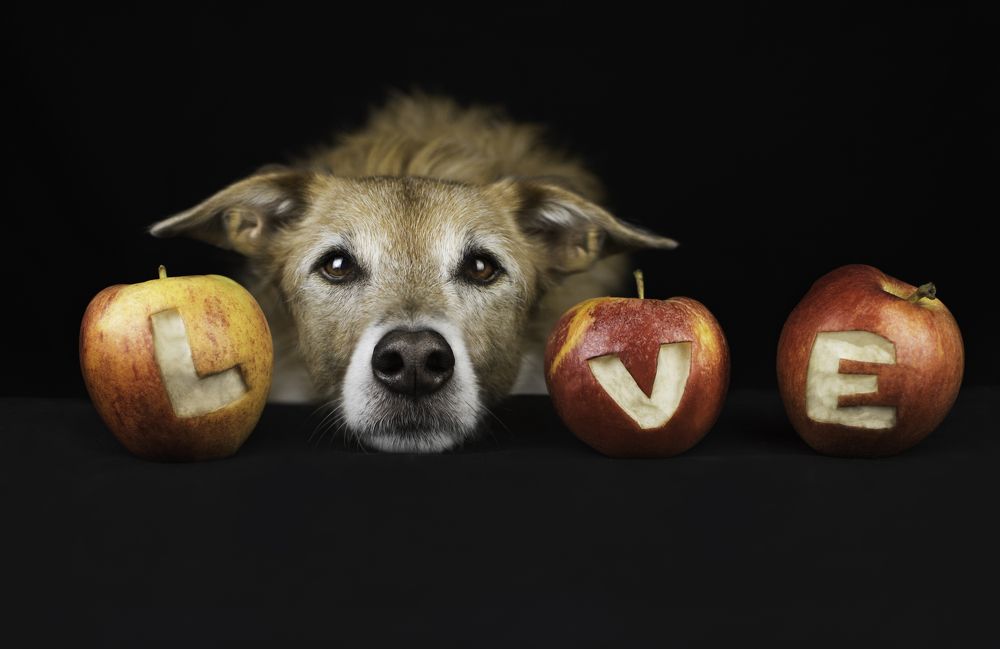 Photograph by leticia pascual garcia