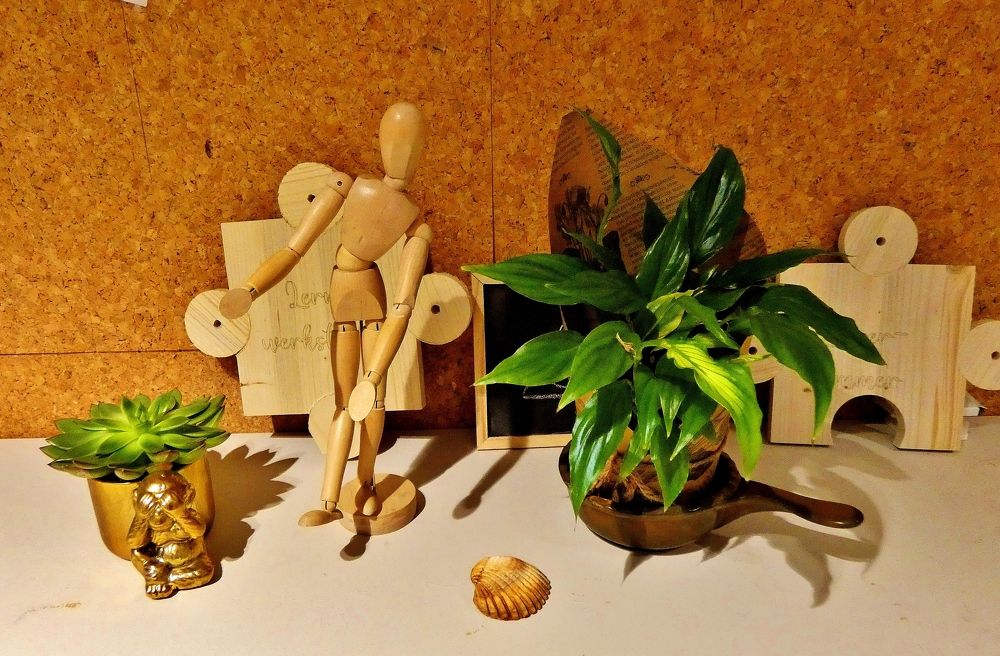 Photograph by backareva irina