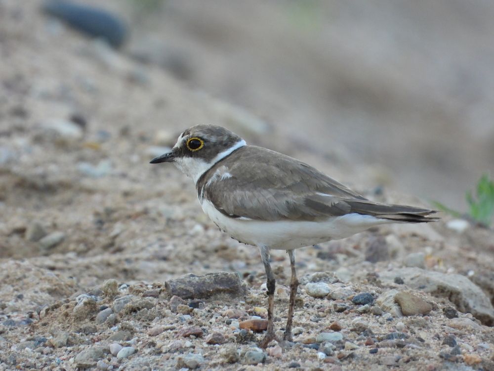 Photograph by Владимир Джерихов