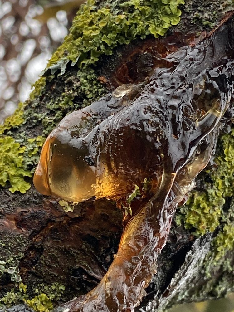 Photograph by Оля