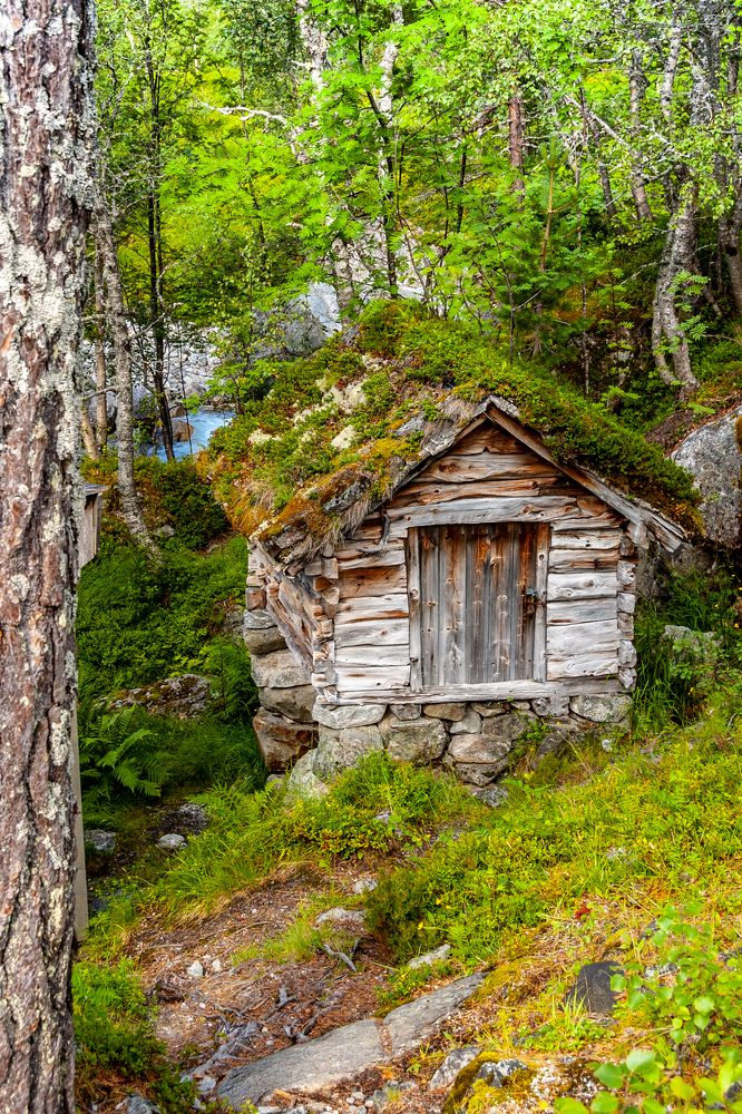 Photograph by Сергей Малеев