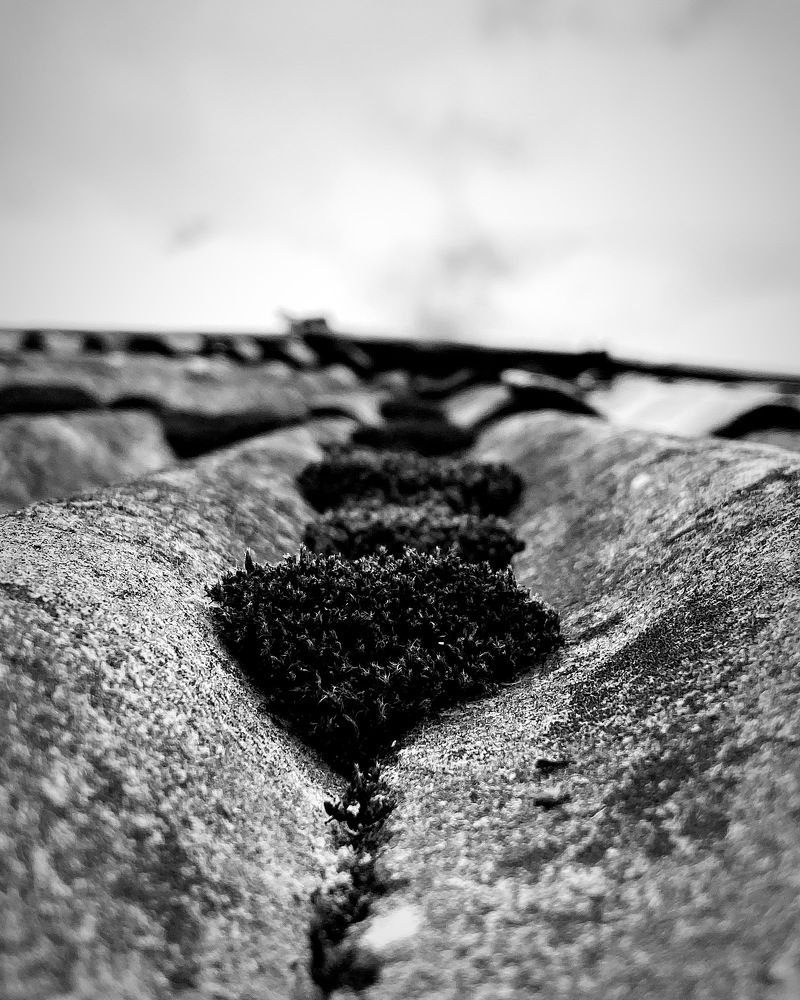 Photograph by Оля