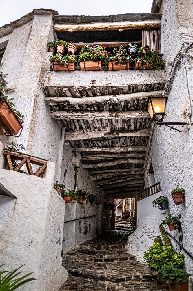 Photograph by Amelia Pardo