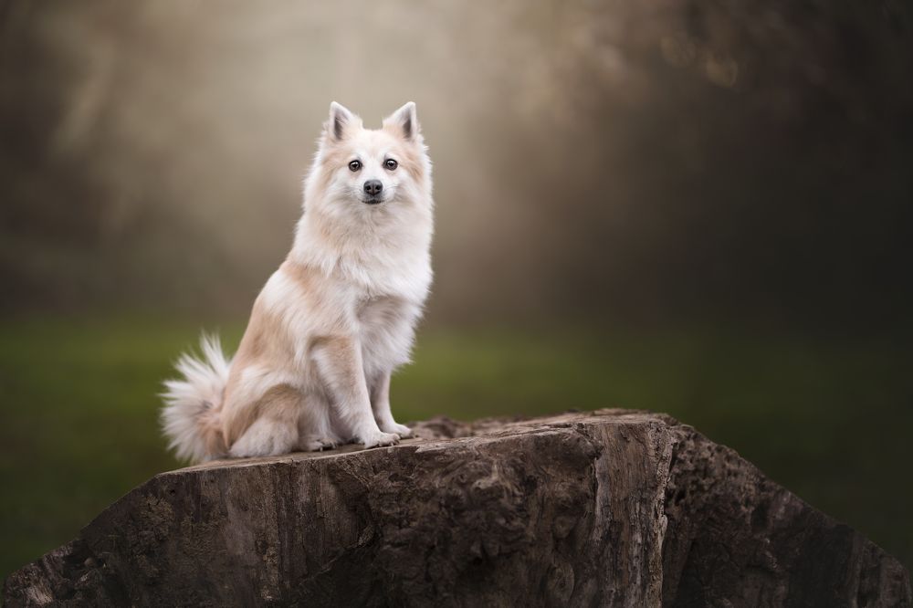 Photograph by Leticia Hernandez